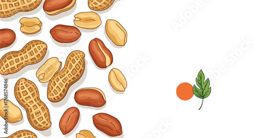 Peanut vector background image with peanuts and leaves on white for food and nature designs, prints, or nutrition information.