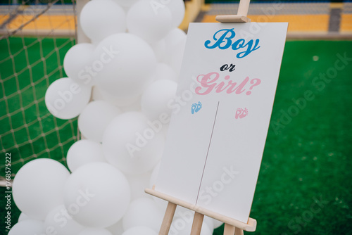 Boy or Girl board with balloons for gender reveal party photo zone