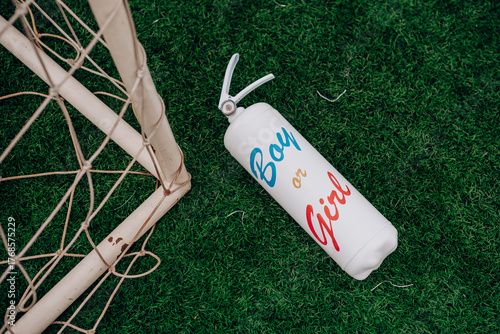 White fire extinguisher with Boy or Girl sign for gender reveal party