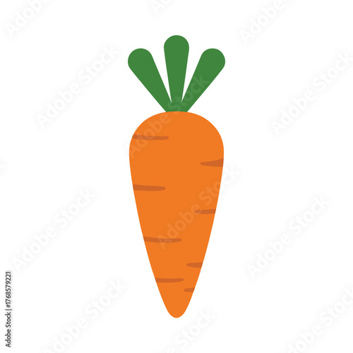 Healthy, fresh orange carrot vector illustration isolated on a white background for food and vegetarian diet concepts