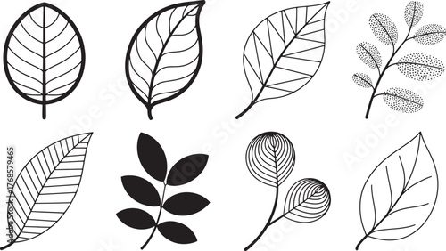 Botanical Line Art Leaves Collection Diverse Foliage Vector Illustrations Isolated