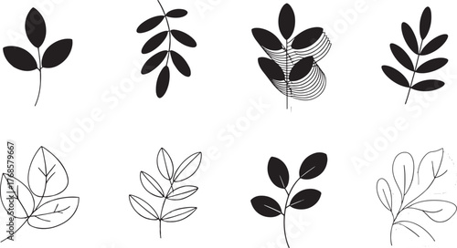 Nature Inspired Leaf Silhouette Illustrations Botanical Elements Branch Vector on Transparent