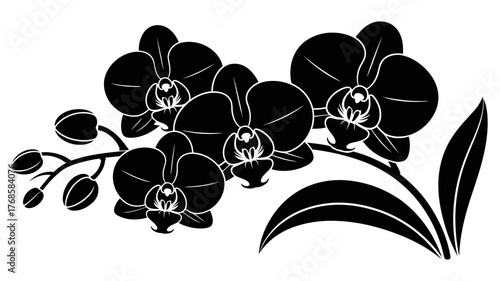 Black Orchid illustration on white background, Elegant orchid floral design, eps vector graphic