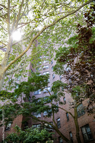 Brick building and trees, New York