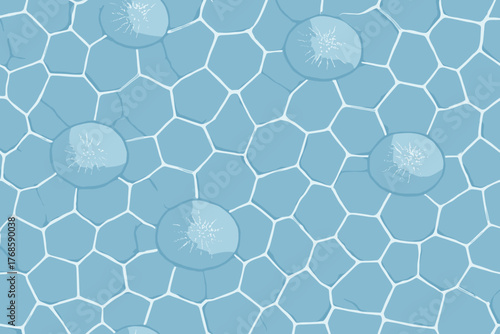 Blue microscopic pattern of plant cells with nuclei detail