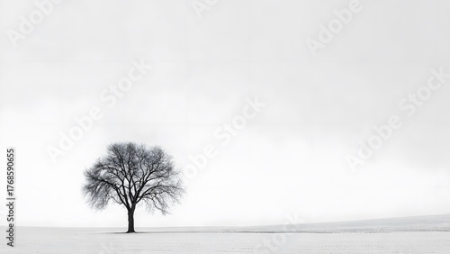 Minimal Silence tree on a white background, minimalist composition, symbolizing silence and calm, clean fine-art style, soft light, empty space, peaceful atmosphere
