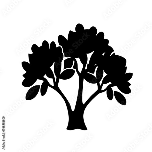Silhouette of a fully grown deciduous tree with leaves and branches