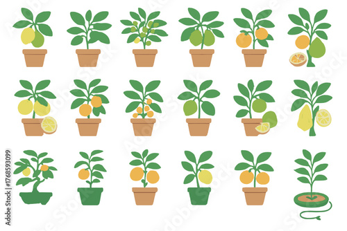 Illustrated icons of lemon trees with fruit and slices in pots