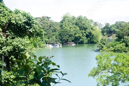 Beautiful lake in the forest