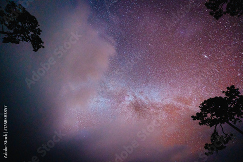 Whispers of the Milky Way