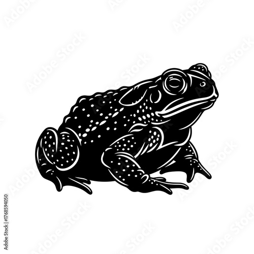 Clean Black Frog Silhouette Artwork Design Minimalist Amphibian Graphic Element