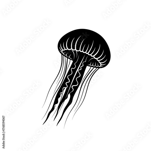 Intricate Black and White Illustration of a Jellyfish with Flowing Tentacles Underwater Graphic