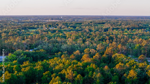 Fotografija Aerial nature landscape of forest summer sunset wilderness area in rural Live Oa