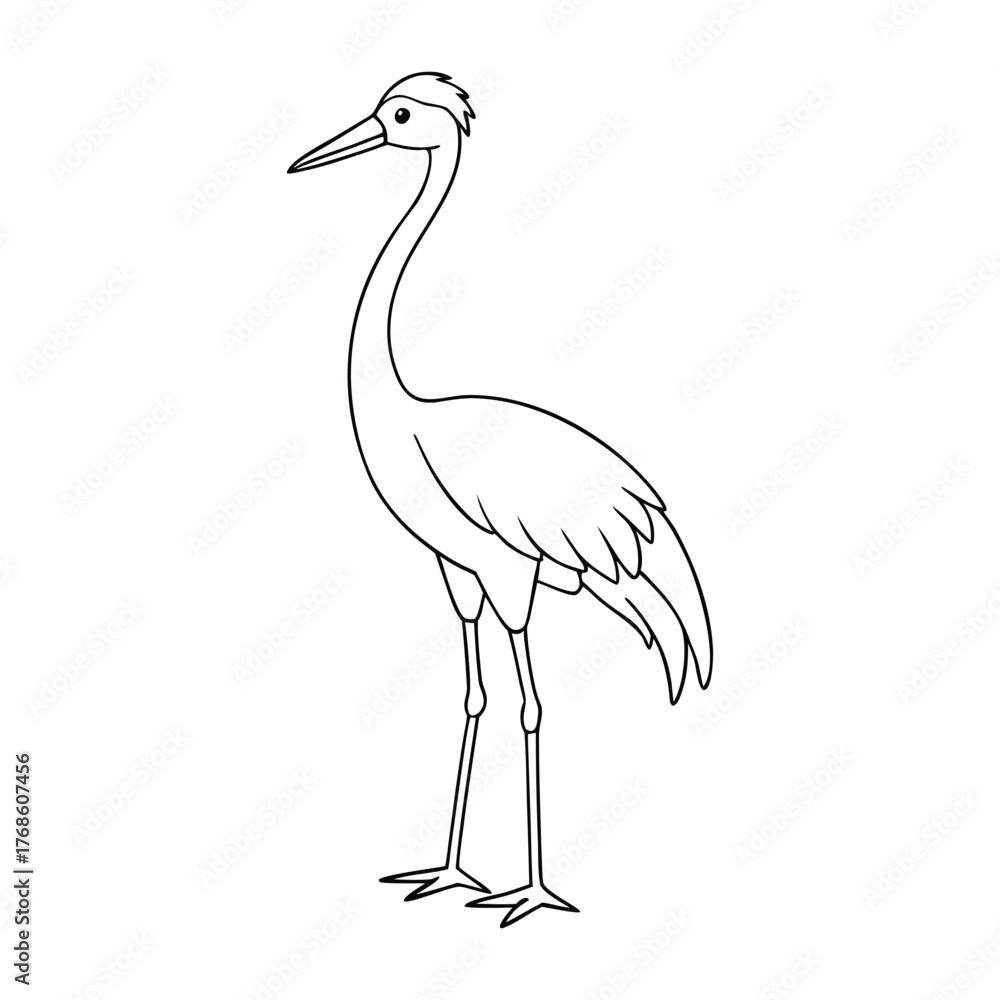 Obraz premium A graceful crane bird coloring page featuring the elegant long-necked bird standing in shallow water, perfect for kids to color and explore nature’s beauty and calmness. 