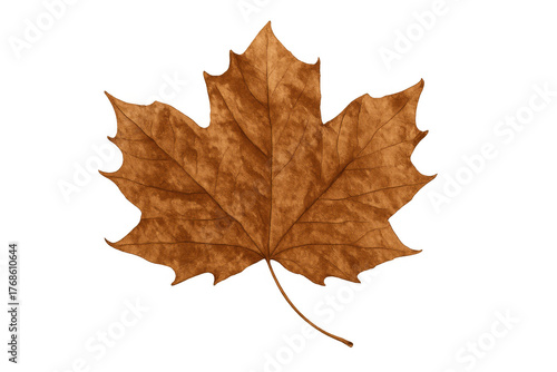 Wallpaper Mural Single brown dried maple leaf floating, symbolizing autumn season and changes in nature, transparent background Torontodigital.ca