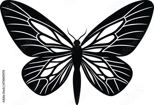 Detailed black butterfly silhouette with intricate wings Keywords: butterfly, insect, moth