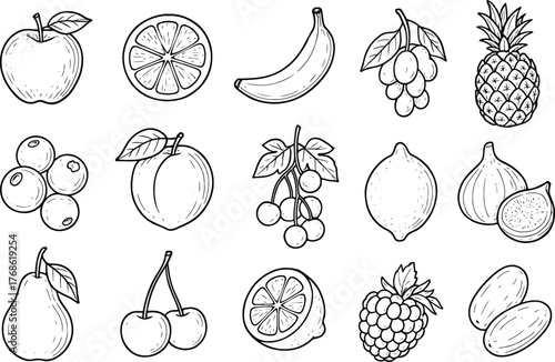 Collection of Hand Drawn Fruits Line Art Vector Illustration Set Apple Orange Banana Grape Pineapple Blueberry Peach Cherry Lemon Fig Date