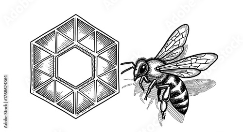 Detailed illustration of a bee approaching a hexagonal honeycomb structure, symbolizing nature, industry, and science