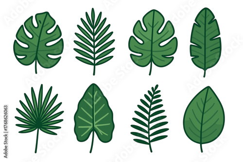 Eight distinct green leaves with various shapes and veins, including monstera and palm designs, displayed in two rows on a white background.
