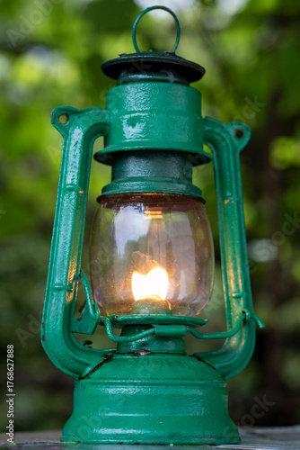 Yellow evening primrose flowers in summer garden