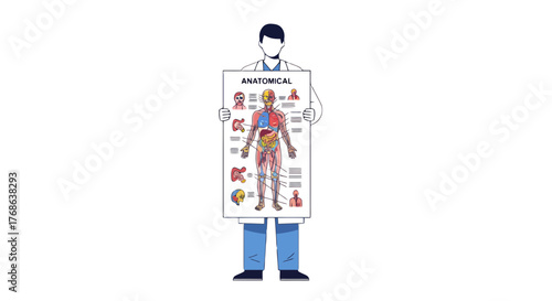 Medical Professional Displays Anatomical Chart, Illustrating Human Body Systems And Organs