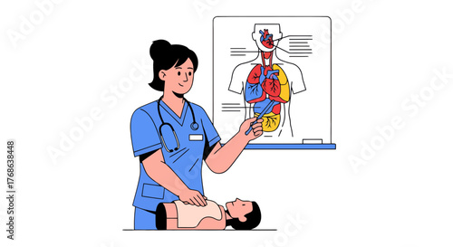 Medical Professional Explaining Human Anatomy And Practicing Cardiac Resuscitation Procedure