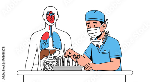 Medical Professional Prepares for Organ Surgery and Anatomical Illustration