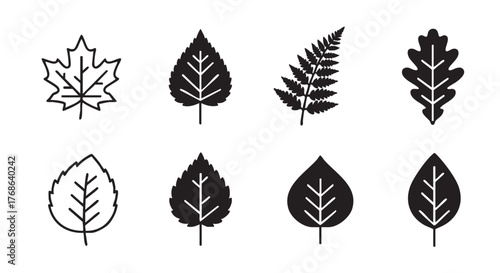 Collection of leaf vector icons representing autumn and foliage design