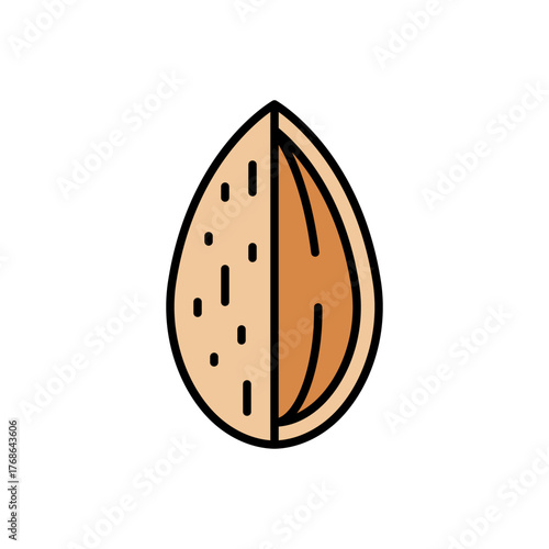 Cross-Section Almond Icon Vector Illustration