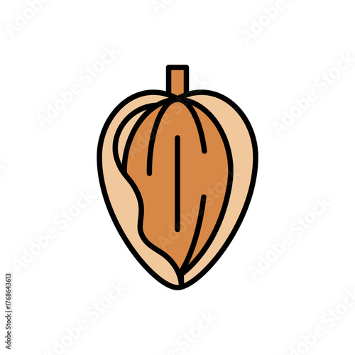 Almond Fruit Icon Vector Illustration