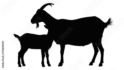 Silhouette of a goat and kid vector illustration of farm animals isolated on white background