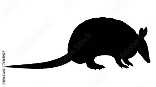 Armadillo silhouette simple vector illustration of a mammal isolated on white background