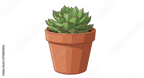 A green succulent plant is in a small brown terracotta pot.