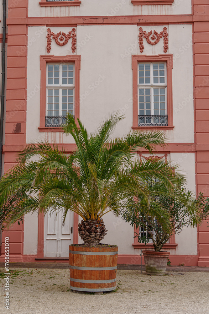 Fototapeta premium Herbstzeit in Wiesbaden