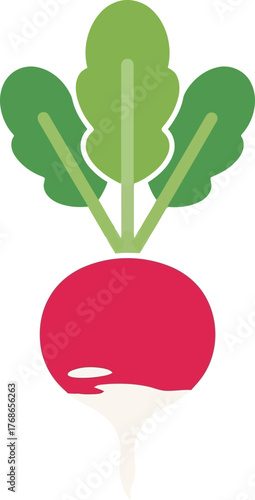 Vibrant radish root vegetable freshness healthy eating icon vector