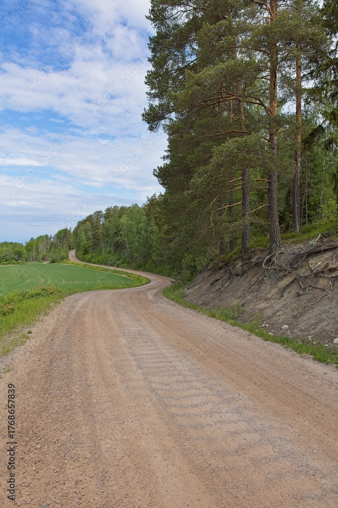 Fototapeta premium Landscape view of Hankalahdentie gravel road lined with field and forest in cloudy summer weather, Espoo, Finland.