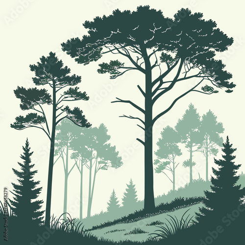 A picturesque forest landscape showcasing towering pine trees silhouetted against a soft, neutral background, evoking a sense of tranquility and natural beauty with a hint of mist in the distance