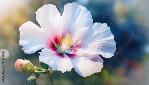 Artistic Close Up Of White Musk Mallow Flower In Gentle Watercolor Tones Painting Flower Bloom