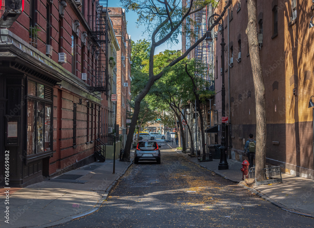 Obraz premium Picturesque street in Greenwich Village