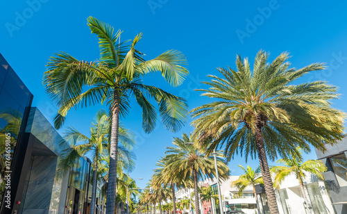 Palm trees and luxury stores in world famous Rodeo Drive in Beverly Hills