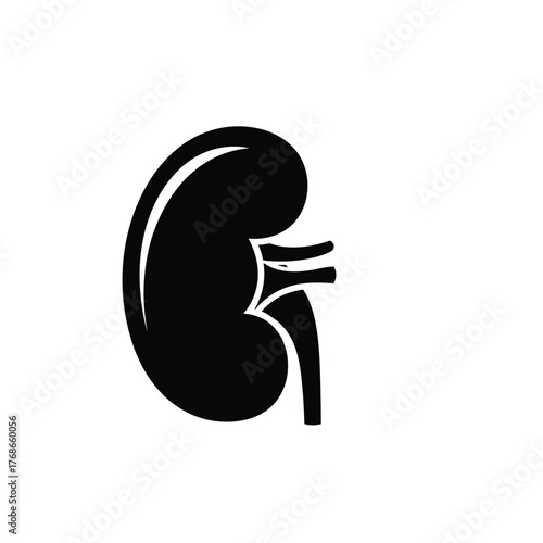 Anatomical black silhouette of a human kidney organ silhouette medical icon graphic silhouette
