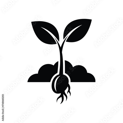 Seedling sprout growing from soil showing roots and two leaves emerging symbolizing new life silhouette