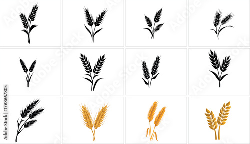 Wheat ears collection isolated on white background for design and decoration