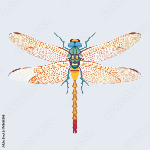 Magnifique libellule en gros plan, très détaillé, illustration colorée et précise, isolée sur fond clair