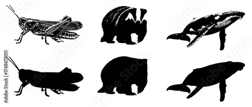 set of silhouettes of animals