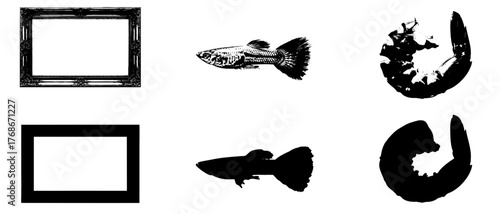 set of black and white frames