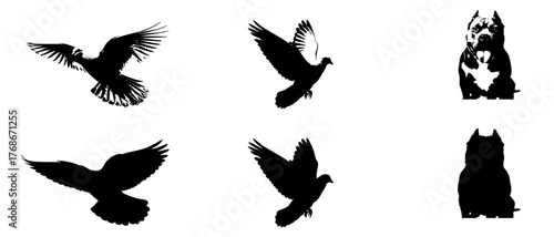 set of silhouettes of wings
