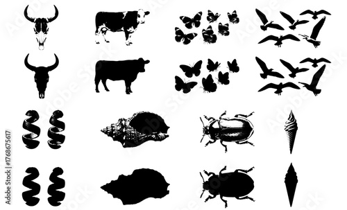 vector silhouettes of animals like cow, bull, crow, butterfly with sea creatures 