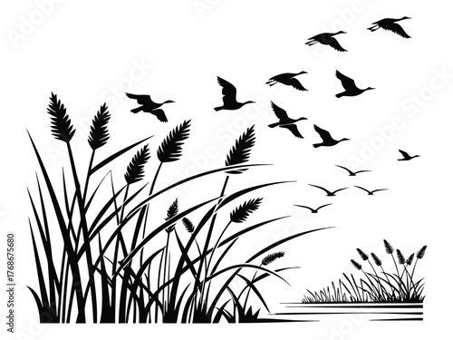grass silhouette with reeds and flowers vector illustration
