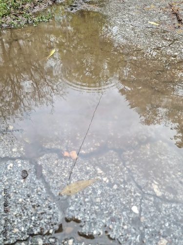 A rain puddle on the asphalt. Autumn weather.